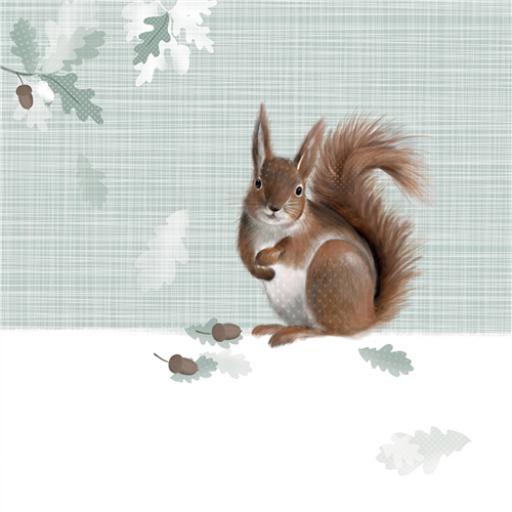 RSPB Nature Trail Card - Red Squirrel