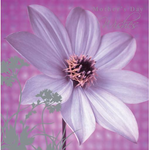 Mother's Day Card - Purple Flowers