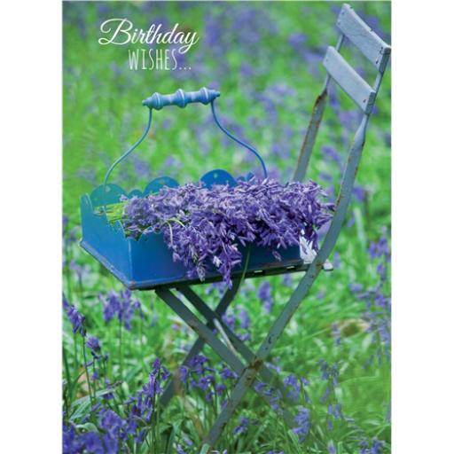 Floral Birthday Card - Bluebells On Chair