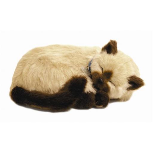 Precious Petzzz - Siamese Cat