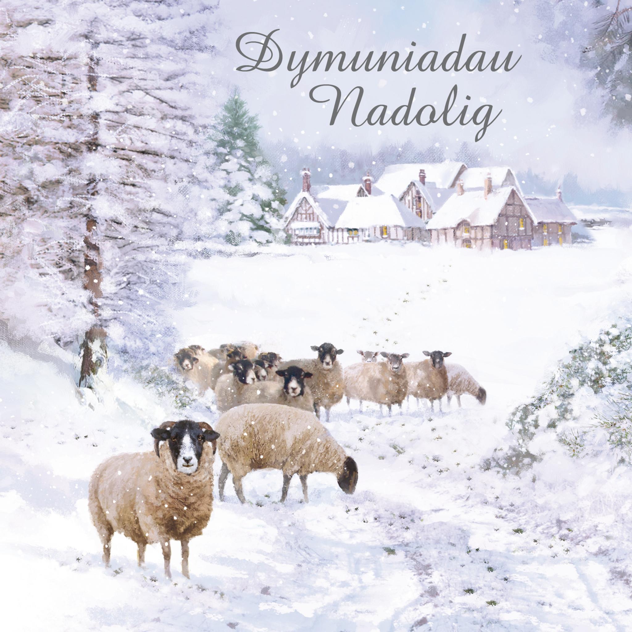 Welsh Christmas Cards (Large) Snowy Flock