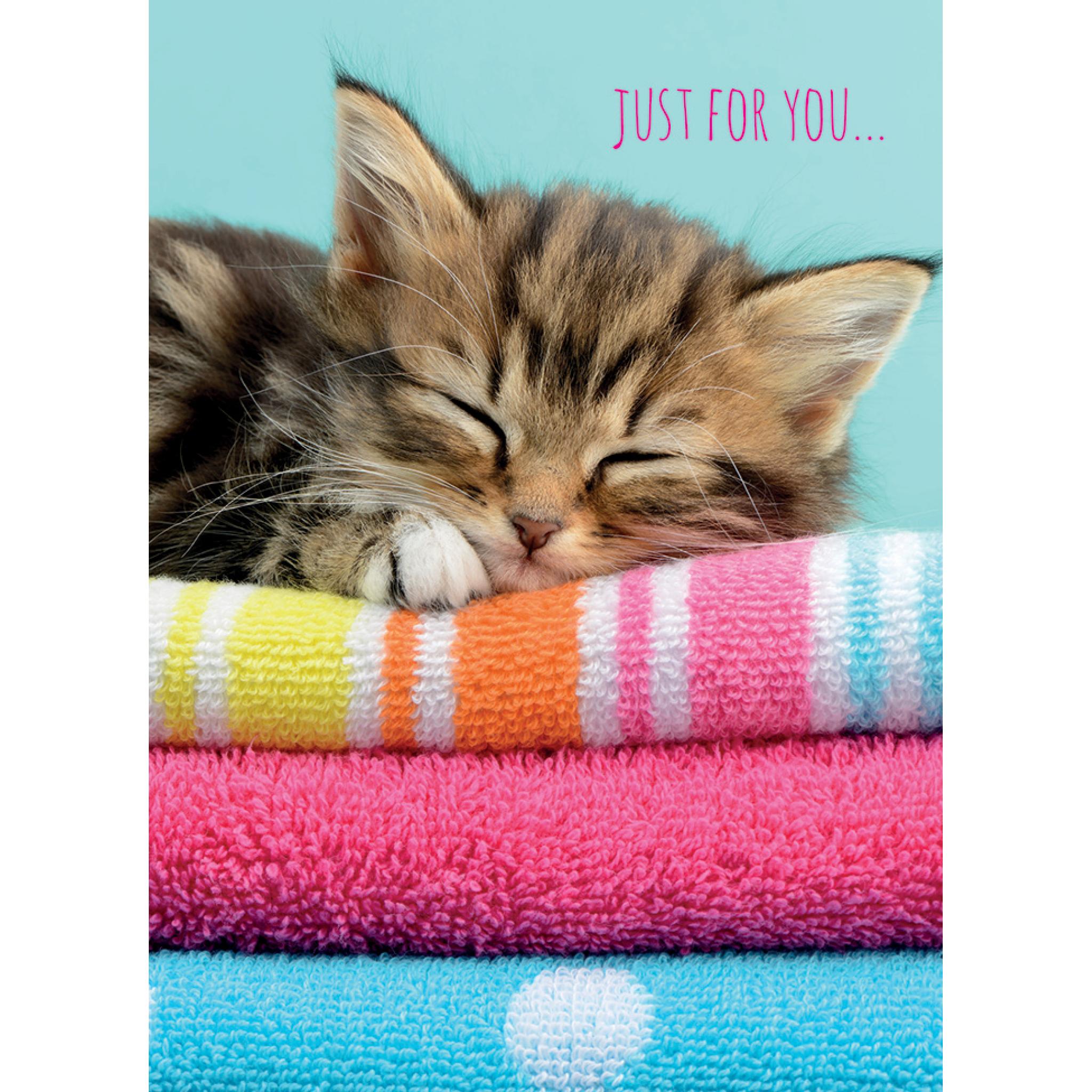 animal-birthday-card-sleeping-kitten