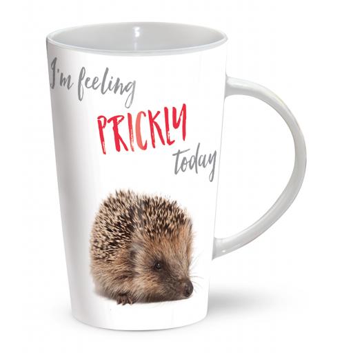 Latte Mug - Feeling Prickly