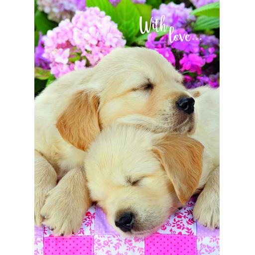 Animal Birthday Card - Sleeping Pups