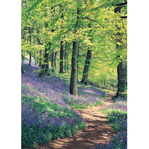 Notecard Pack - Bluebell Wood