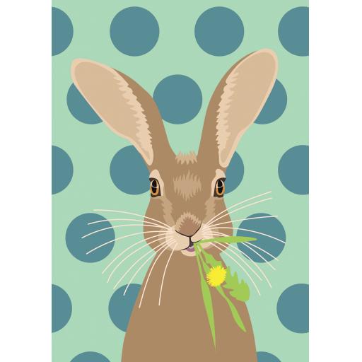 Notecard Pack - Hare On Spots