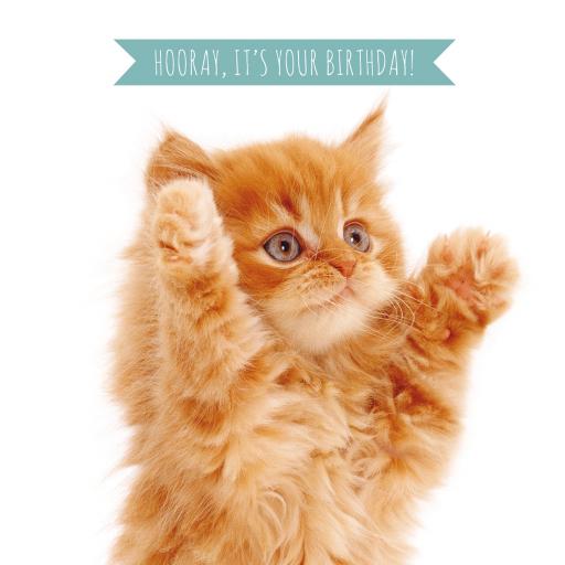 Pet Pawtrait Card - Big Hug! (Birthday Card)