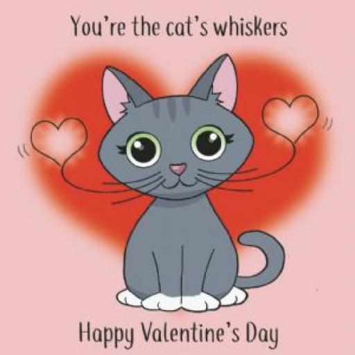 Valentines Day Card - Cats Whiskers