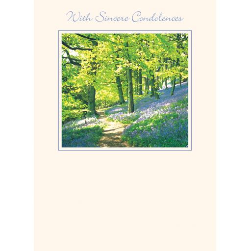 Sympathy Card - Bluebell Wood
