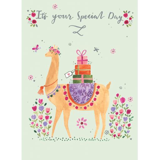 Marie Curie Happy Days Card Collection - Delivered By Llama