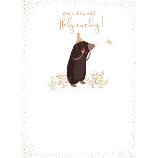 Age To Celebrate Card - Holy Moley!