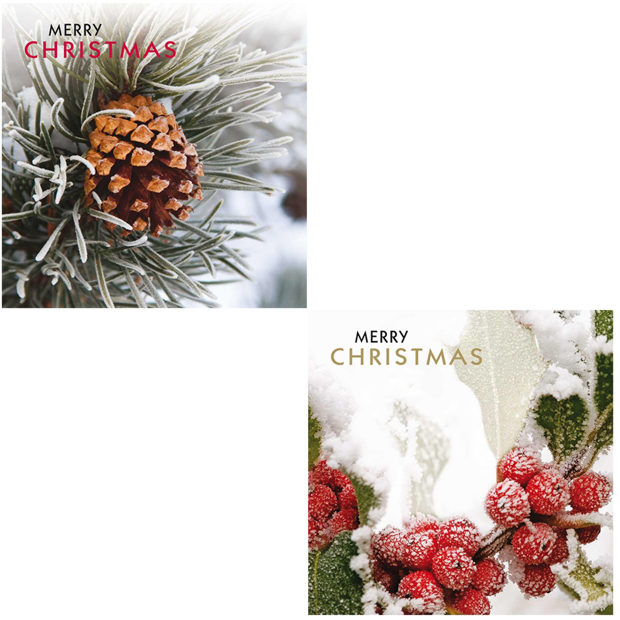 Luxury Christmas Card Pack Christmas Foliage