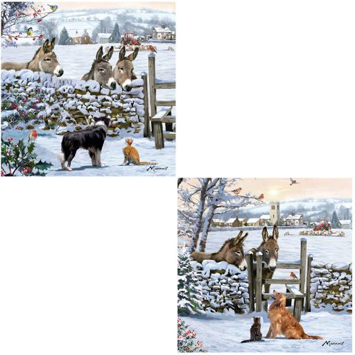 Luxury Christmas Card Pack - Donkey Encounter