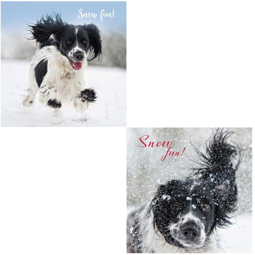 Luxury Christmas Card Pack - Snowy Springer