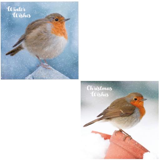 Luxury Christmas Card Pack - Winter Perch