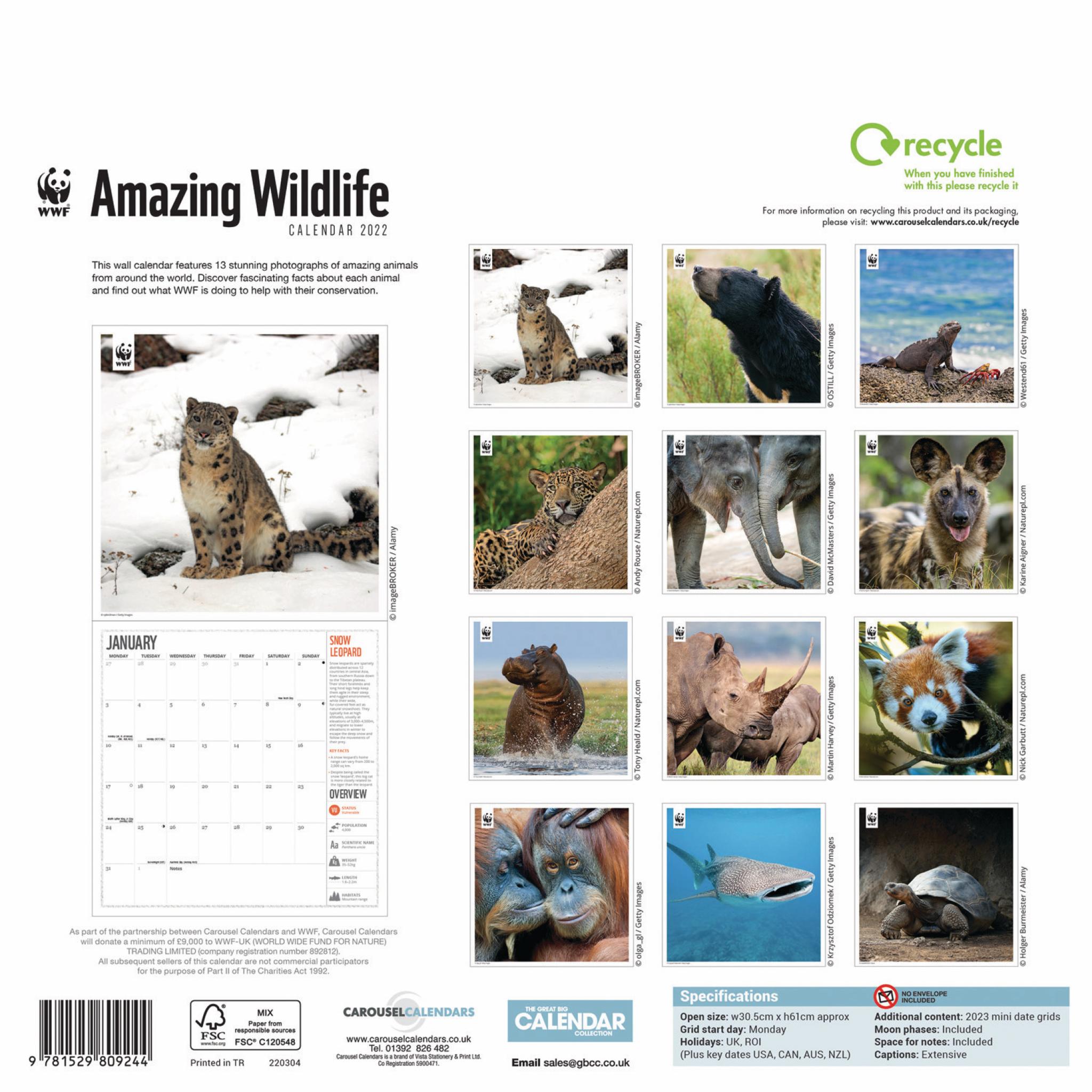 Wwf Amazing Wildlife Wall Calendar 2022 (Pfp)