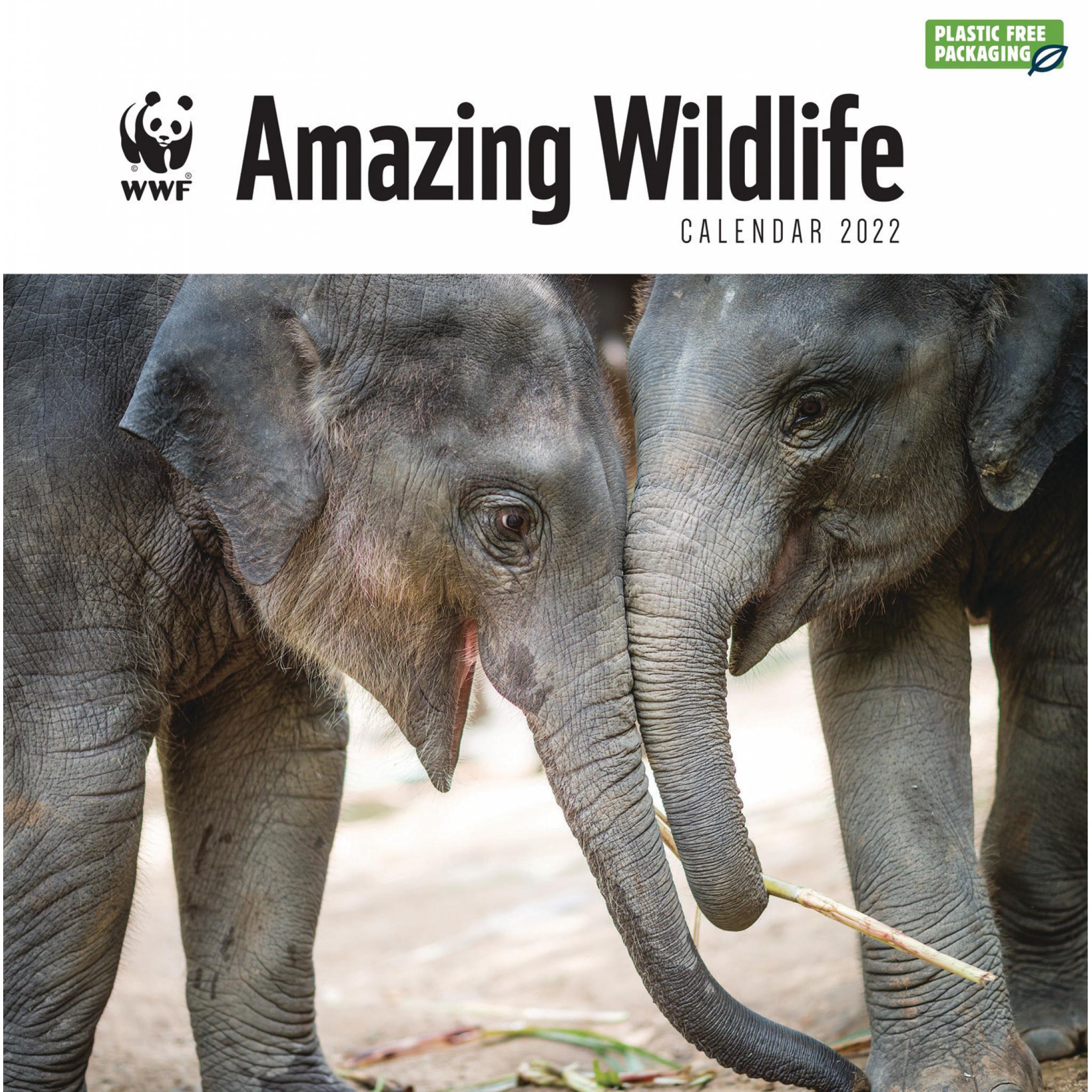 Wwf Amazing Wildlife Wall Calendar 2022 (Pfp)