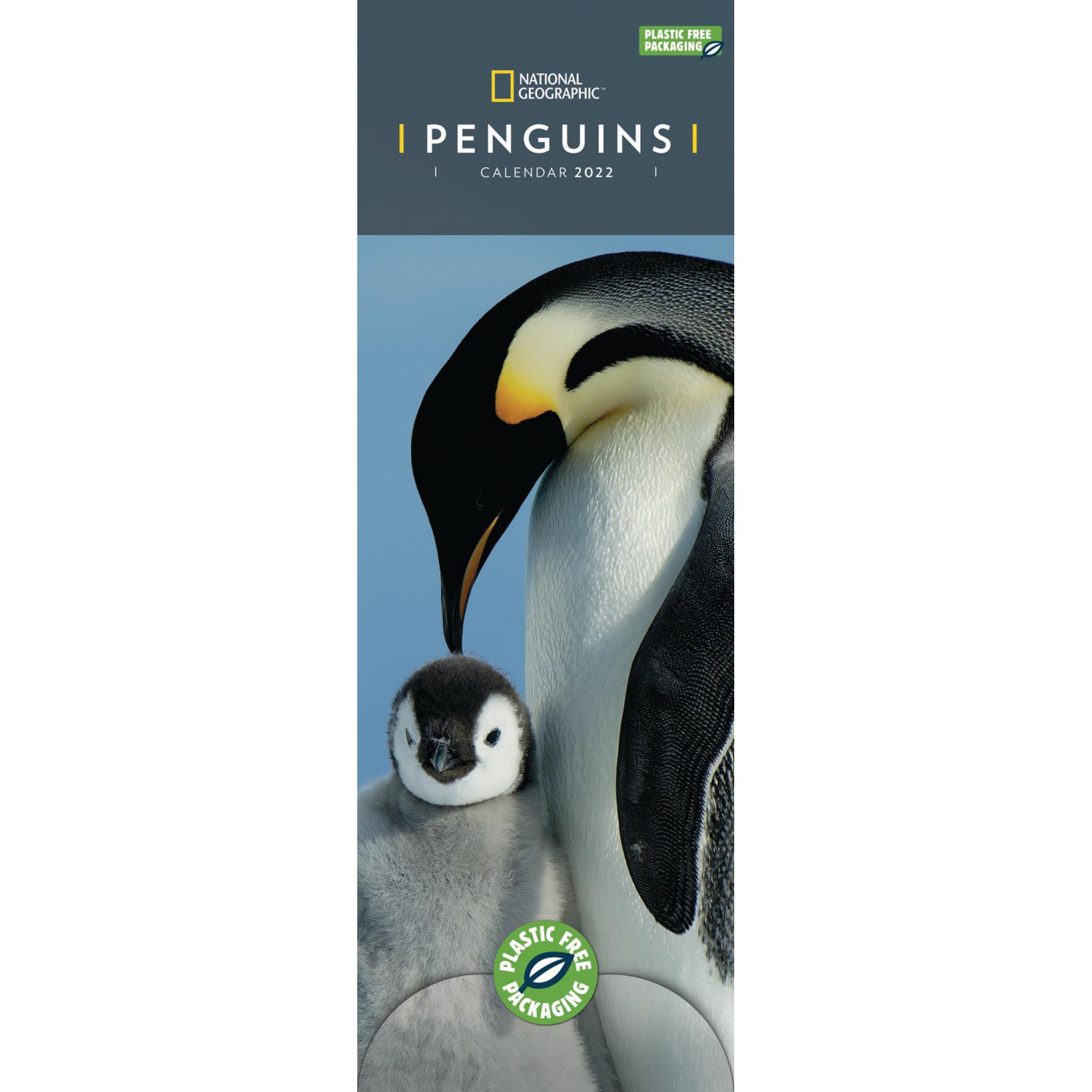 Penguins 2022 Schedule National Geographic Penguins Slim Calendar 2022 (Pfp)