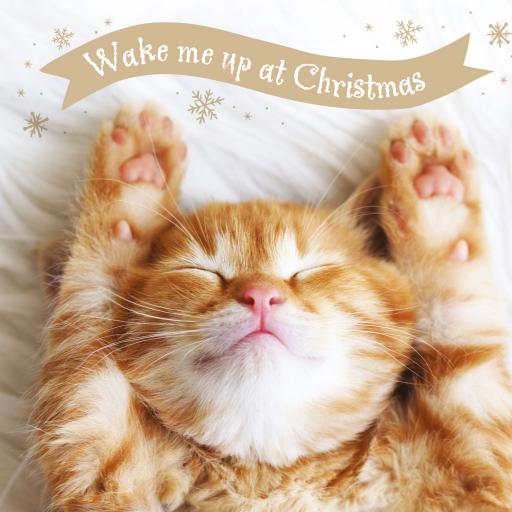 Charity Christmas Card Pack - Wake Me Up At Christmas