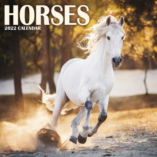 National Geographic Horses Wall Calendar 2022 (Pfp)