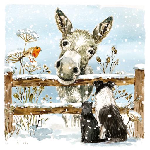 Charity Christmas Card Pack - Donkey & Friends