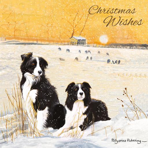 Charity Christmas Card Pack - Winter Collies