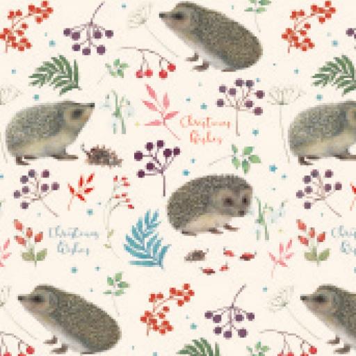 Christmas Wrap & Tags - Winter Hedgehogs (5 Sheets & 5 Tags)