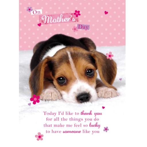 Mother's Day Card - Soppy Puppy