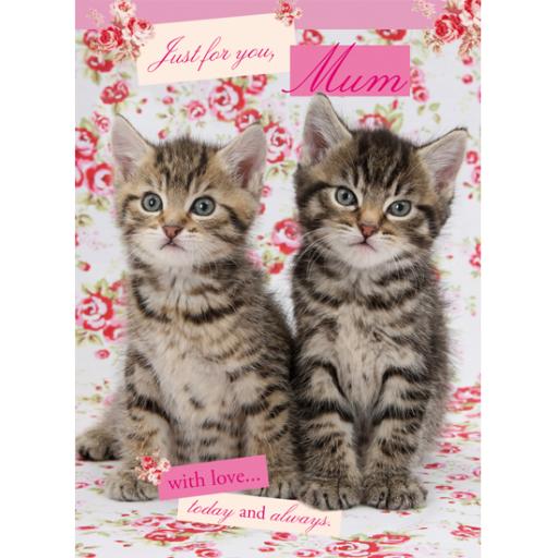 Mother's Day Card - Tabby Kittens