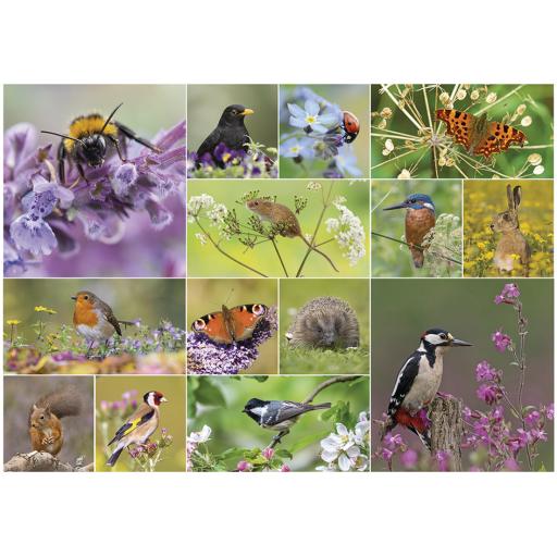 Jigsaw Puzzle 1000 Piece - RSPB - Bird & Wildlife