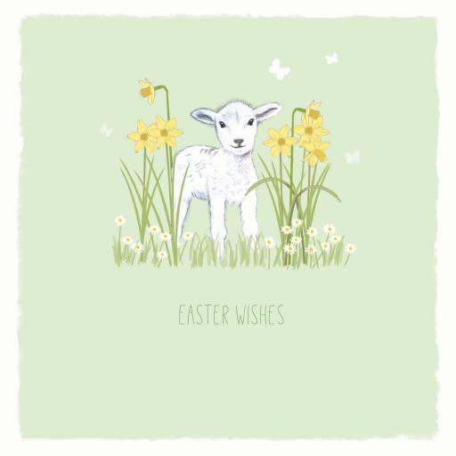 Easter Card Pack - Spring Lambs & Daises