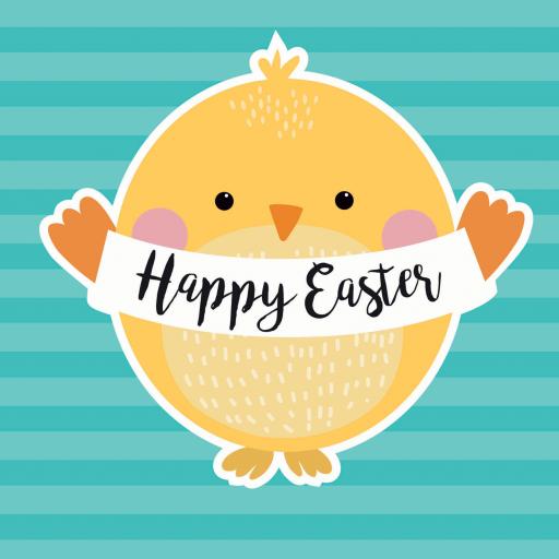 Easter Card Pack - Yellow Chick
