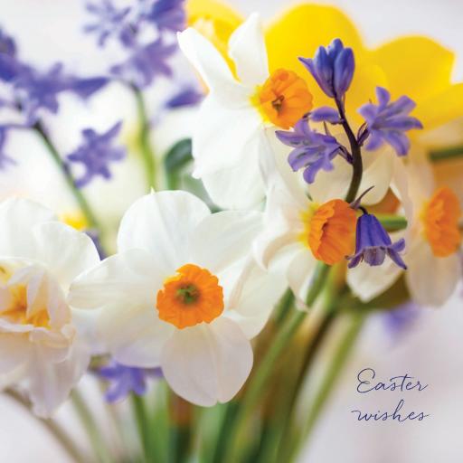 Easter Card Pack - Daffodil Florals