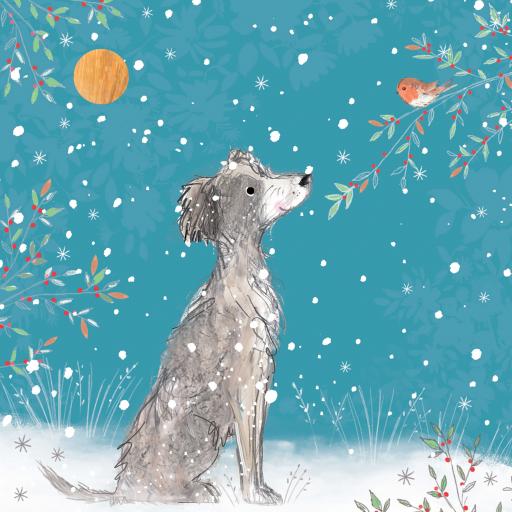 Charity Christmas Card Pack - Pup & Robin