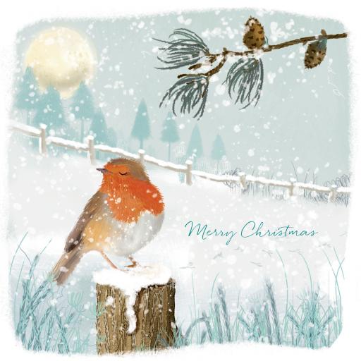 Charity Christmas Card Pack - Robin In Snow