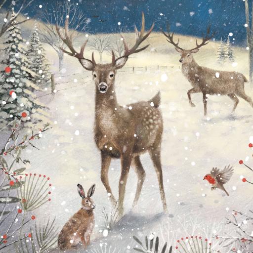 Charity Christmas Card Pack - Woodland Friends