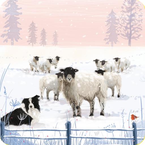 Luxury Christmas Card Pack - Flock Of Sheep