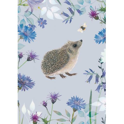 Notecard Pack - Hedgehog & Bee