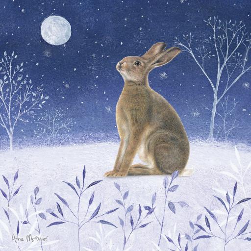 Charity Christmas Card Pack - Midnight Hare