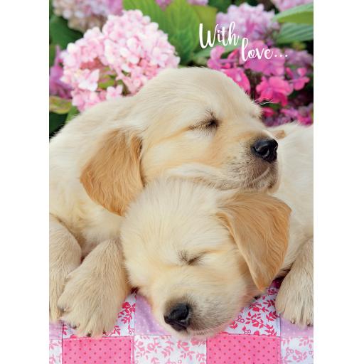 Animal Birthday Card - Sleeping Pups