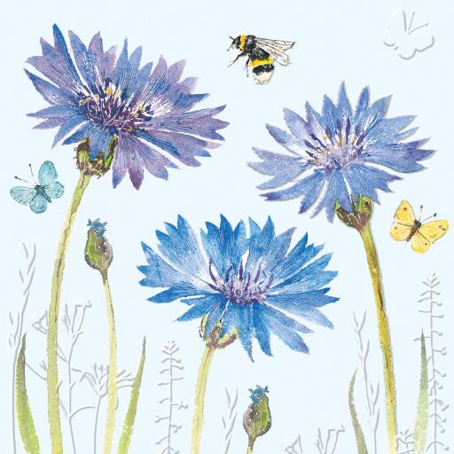 Beautiful Blooms Card Collection - Cornflowers