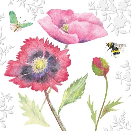 Beautiful Blooms Card Collection - Poppies