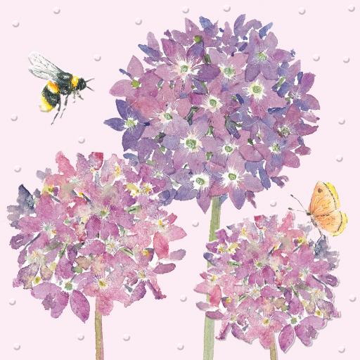 Beautiful Blooms Card Collection - Alliums