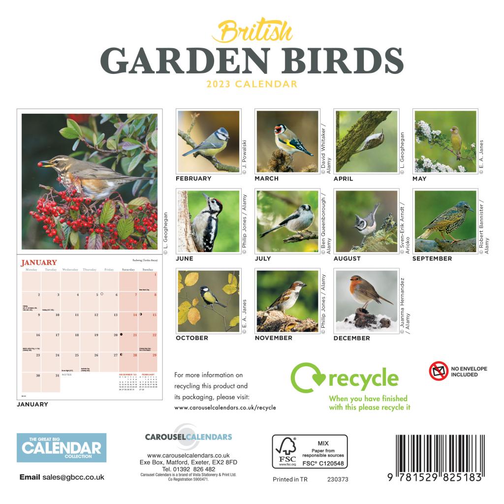 British Garden Birds Mini Wall Calendar 2023