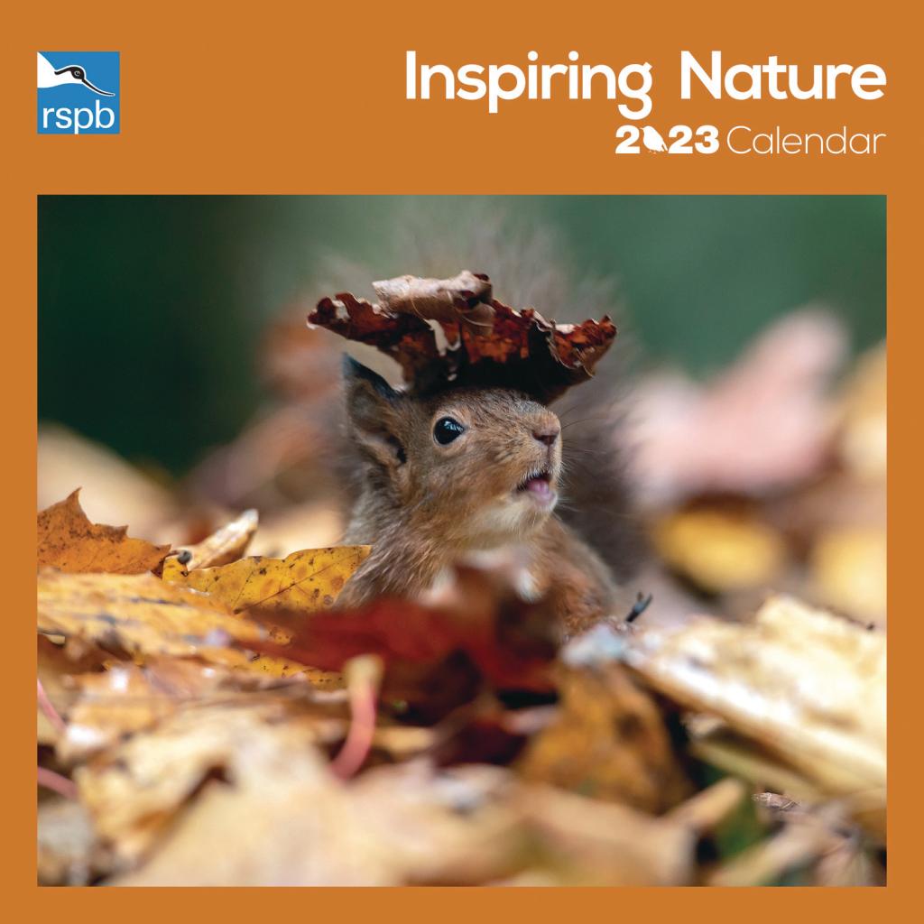 rspb-inspiring-nature-photo-competition-wiro-wall-calendar-2023