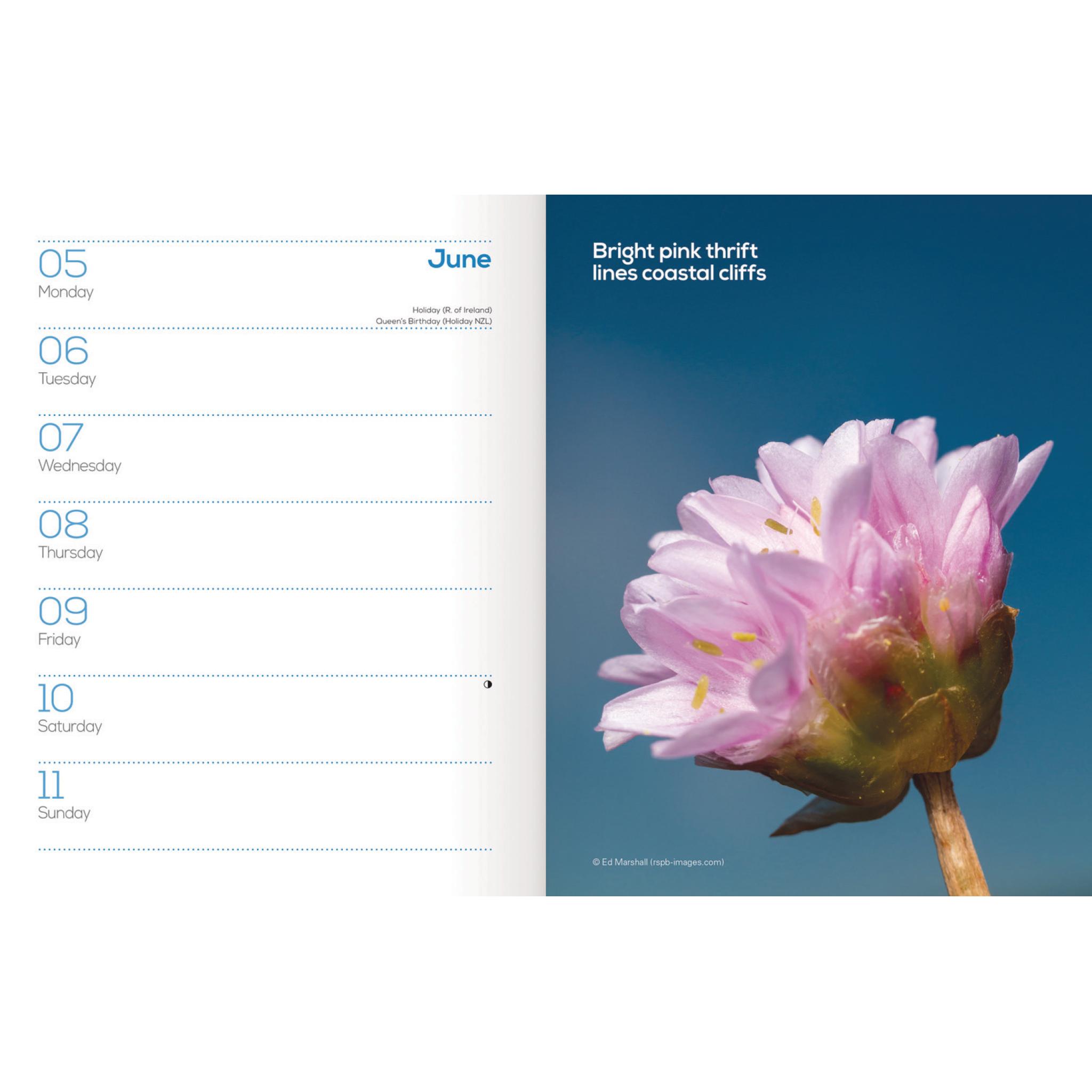 Rspb dlx diary 2023