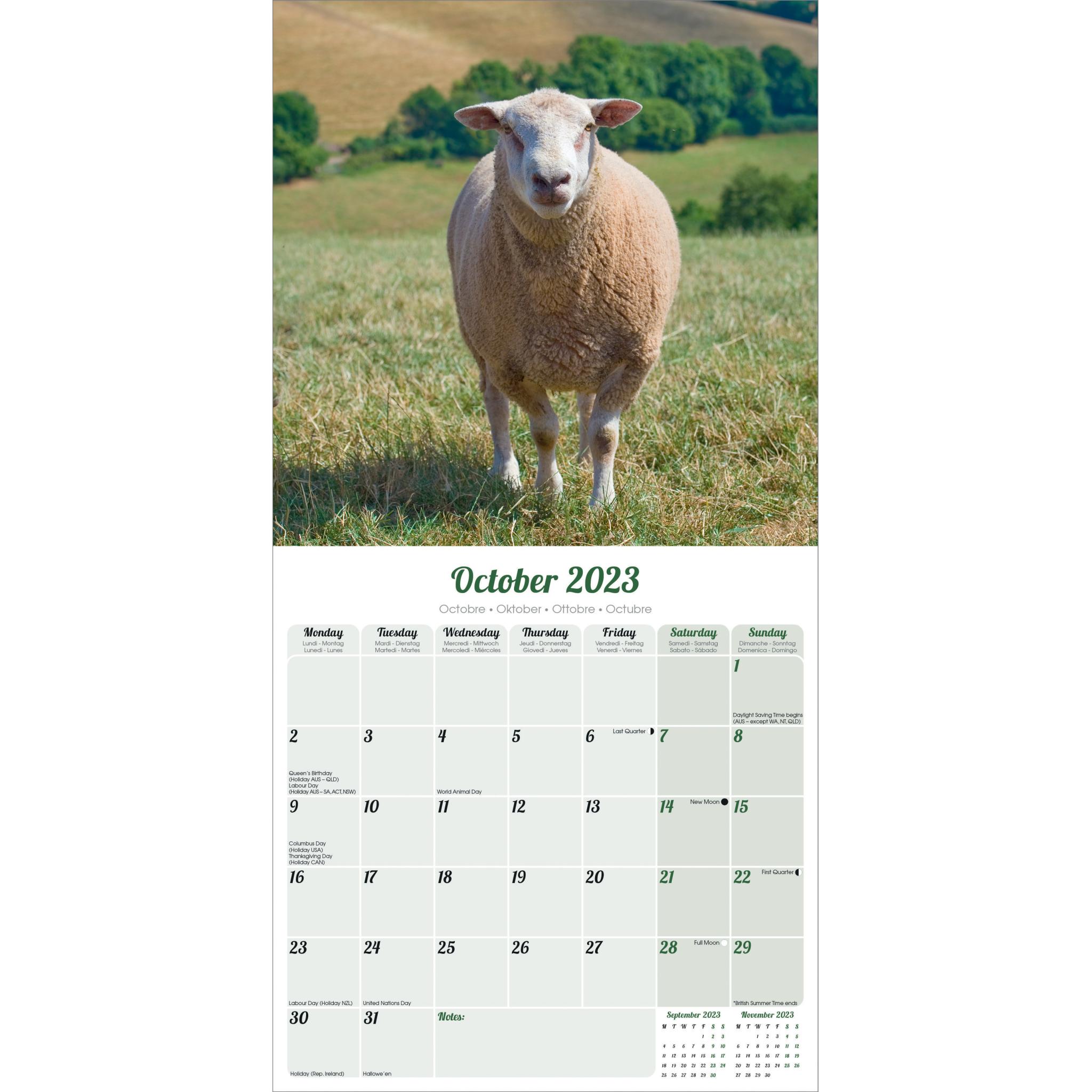 Sheep Wall Calendar 2023