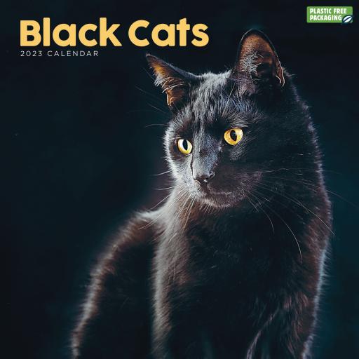 Black Cats (PFP) Wall Calendar 2023