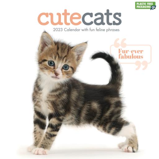 Cute Cats (PFP) Wall Calendar 2023