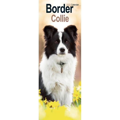 Border Collie Slim Calendar 2023